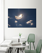 Obraz Letiace pierko feather 